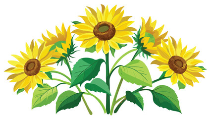 Wall Mural - Watercolor Sunflowers with Green Leaves Vector Illustration on white background.