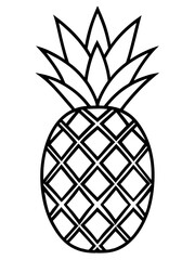 Wall Mural - line art of a pineapple
