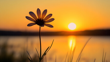 Canvas Print - Silhouette of a flower in the sunset over a lake.