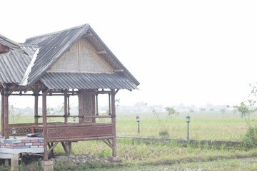 view in the middle of rice fields.	
