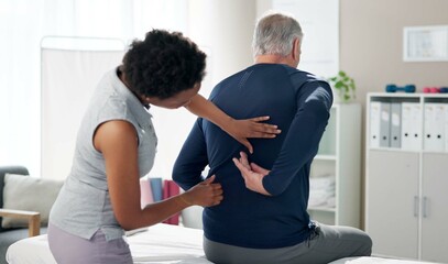 Sticker - Physiotherapy, back pain and senior man with chiropractor for wellness, health and mobility. Healthcare, clinic and person with mature patient for physical therapy, rehabilitation and medical support