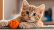 © Hatai - a kitten playing with a toy