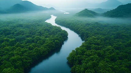 Wall Mural - Aerial view of a winding river flowing through a lush green forest with mist in the background.