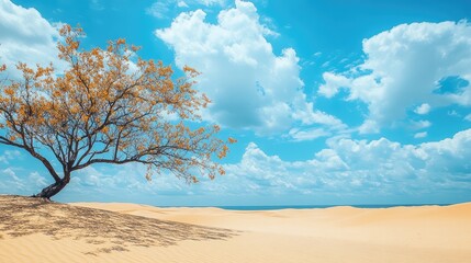 Poster - Lonely yellow tree growing on sand dunes by the sea