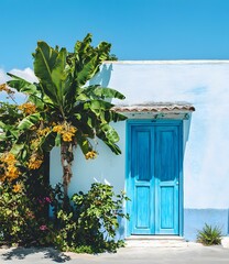 Wall Mural - Blue Door With A Banana Tree In Front