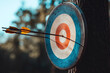 © Valeryi - the arrow sticks out in the center of the target - the embodiment of a sports concept