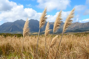 Wall Mural - Tall Grass with Mountains in Background