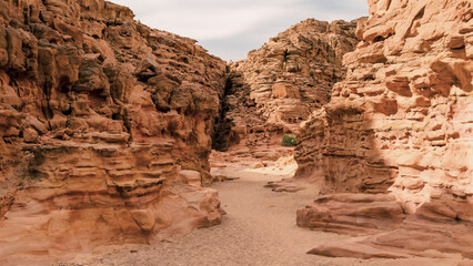 Wall Mural - colored canyon with green plants in Egypt Dahab South Sinai