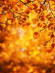Wall Mural - Vibrant autumn foliage bathed in warm golden sunlight showcasing the breathtaking beauty and enchanting atmosphere of the seasonal transition  The image captures the lush