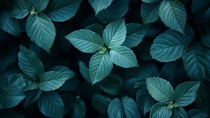 Fototapete - Natural Background : Generative AI