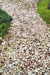 Path of small stones decorated and green grass in the garden