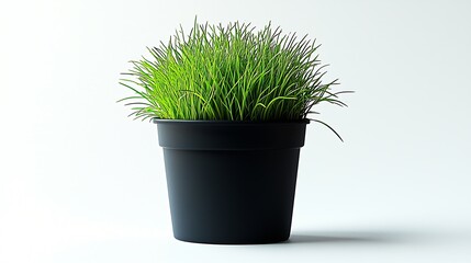 Poster - Young Green Grass in Plastic Pot Isolated on White Background : Generative AI