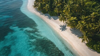 White sand beaches and palm trees lining the shores of a secluded island in the Maldives.