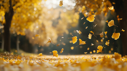 Wall Mural - A picture of autumn leaves falling from trees.  The picture shows ginkgo and maple leaves.