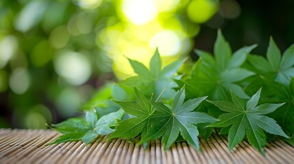 Fototapete - Green Leaves on Bamboo Mat Nature Background : Generative AI