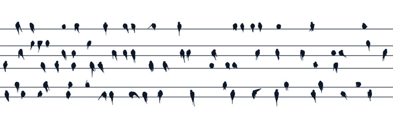 Sticker - Silhouettes of swallows on a wire.
