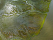 © AmazingAerialAgency - Aerial view of abstract wetlands with vibrant textures and serene water patterns, Brunswick, Georgia, United States.