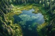 © Gatherina - Aerial view of a blue lake surrounded by green forest in summer