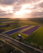 © AmazingAerialAgency - Aerial view of colorful tulip fields and a charming house under a vibrant sky, Keukenhof, Netherlands.