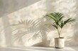 © Shahzaman - Minimal product placement background with palm shadow on beige plaster wall Luxury summer architecture interior aesthetic Boho home room for product platform stage mockup