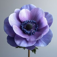 Wall Mural - A detailed purple flower with layered petals and a dark center.