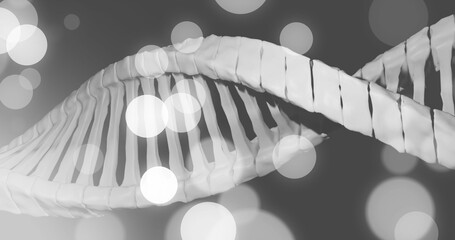 Wall Mural - image of dna strand and spots of light on dark background