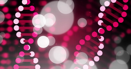 Wall Mural - image of dna strands and spots of light on dark background