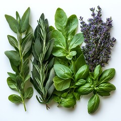 Wall Mural - A variety of fresh herbs arranged for culinary use.