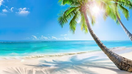 Wall Mural - Beautiful_tropical_beach_banner._White_sand_and