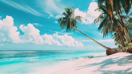 Wall Mural - Beautiful_tropical_beach_banner._White_sand_and