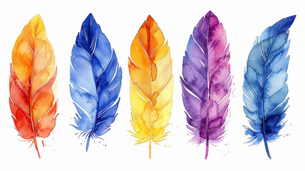 Wall Mural - A set of different multicolored bird feathers on a white background in watercolor style