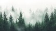 © Thanthara - Foggy pine forest with green trees and white mist.