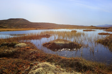 Fall in the Forollhogna National Park, Norway