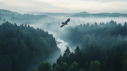 Wall Mural - A bird's eye view of the misty forest, with an eagle soaring above it. The river flows through the valley surrounded by dense green trees