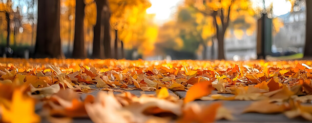 fall leaves litter the ground in a residential park,