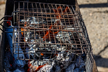 A fire burns in a barbecue grill for cooking shashlik