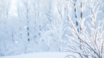 Poster - Snow-covered branches in a wintery forest.