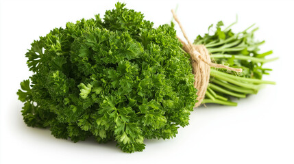 parsley tied with an organic jute string its curly leaves tightly packed together against an isolated white background