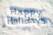 © Larisa - Happy Holidays message written in snow