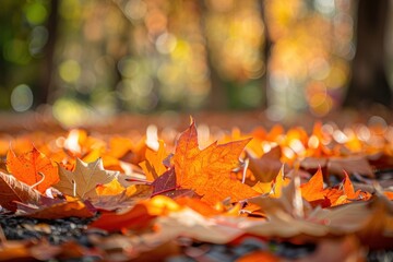 Poster - Orange maple leaves on the ground leaf bonfire autumn.