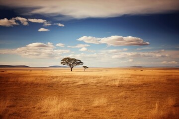 Wall Mural - African serengeti nature landscape grassland.