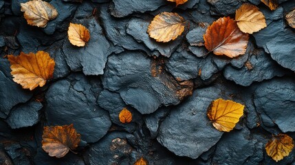 Poster - A rock wall covered in leaves of various sizes
