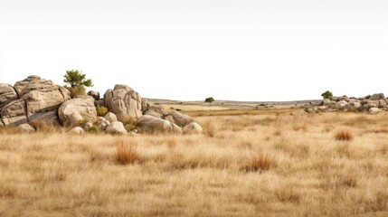 Poster - Rocky hilly dry grassfields landscape grassland outdoors.