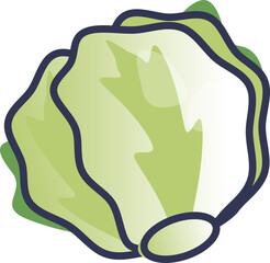 Illustration of a fresh green lettuce head, symbolizing healthy eating and organic produce.