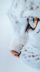 Wall Mural -  A tight shot of a white cat's face showcases a distinct brown marking on the left corner of its eye