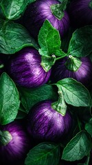 Wall Mural -  A tight shot of purplish blooms against black backdrop, adorned with emerald green foliage and water-speckled petals