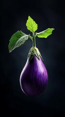 Poster -  A purple eggplant with a green leaf dangling from its stem against a dark blue backdrop