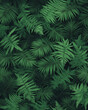 © wassana - A close up of green leaves with a lush green background