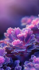 Wall Mural -  A tight shot of multiple flower blooms, each with dewdrops on their petals