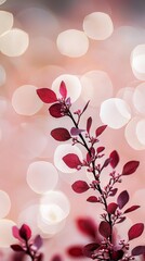 Canvas Print -  A branch bearing red leaves stands out against a backdrop of pink and white blooms with blurred lights in the background